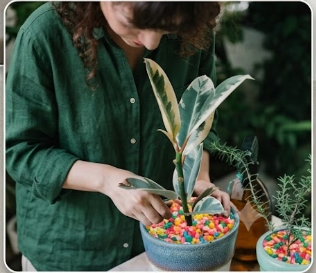 Colorful Flowerpot Decorative Stones & Pebbles